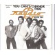 RAYDIO feat. RAY PARKER Jr. - You can´t change that